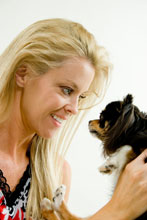 Chihuahua Dog Breed